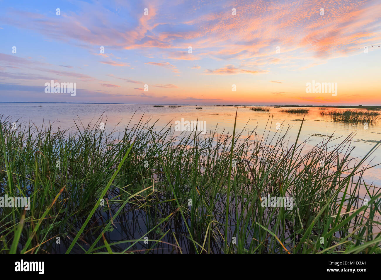 Sunrise colori nel Delta del Danubio dove canale di Sulina soddisfare Mar Nero in Romania. Vista dal kayak. Foto Stock