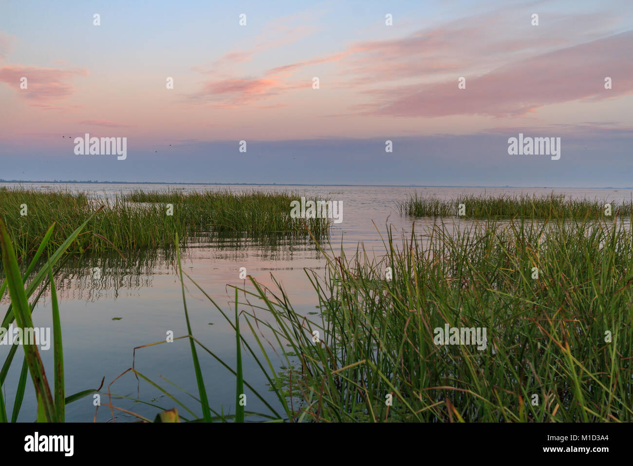 Tramonto alba sul delta del Danubio, dove incontra il Mar Nero in Romania, una riserva della biosfera dell'UNESCO e un ecosistema naturale unico. Foto Stock