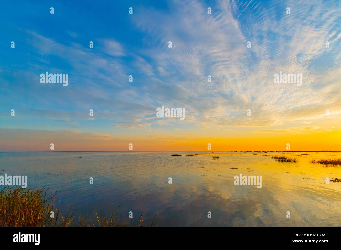 Tramonto alba sul delta del Danubio, dove incontra il Mar Nero in Romania, una riserva della biosfera dell'UNESCO e un ecosistema naturale unico. Foto Stock