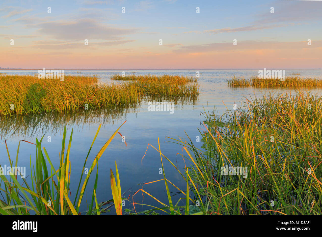 Tramonto alba sul delta del Danubio, dove incontra il Mar Nero in Romania, una riserva della biosfera dell'UNESCO e un ecosistema naturale unico. Foto Stock