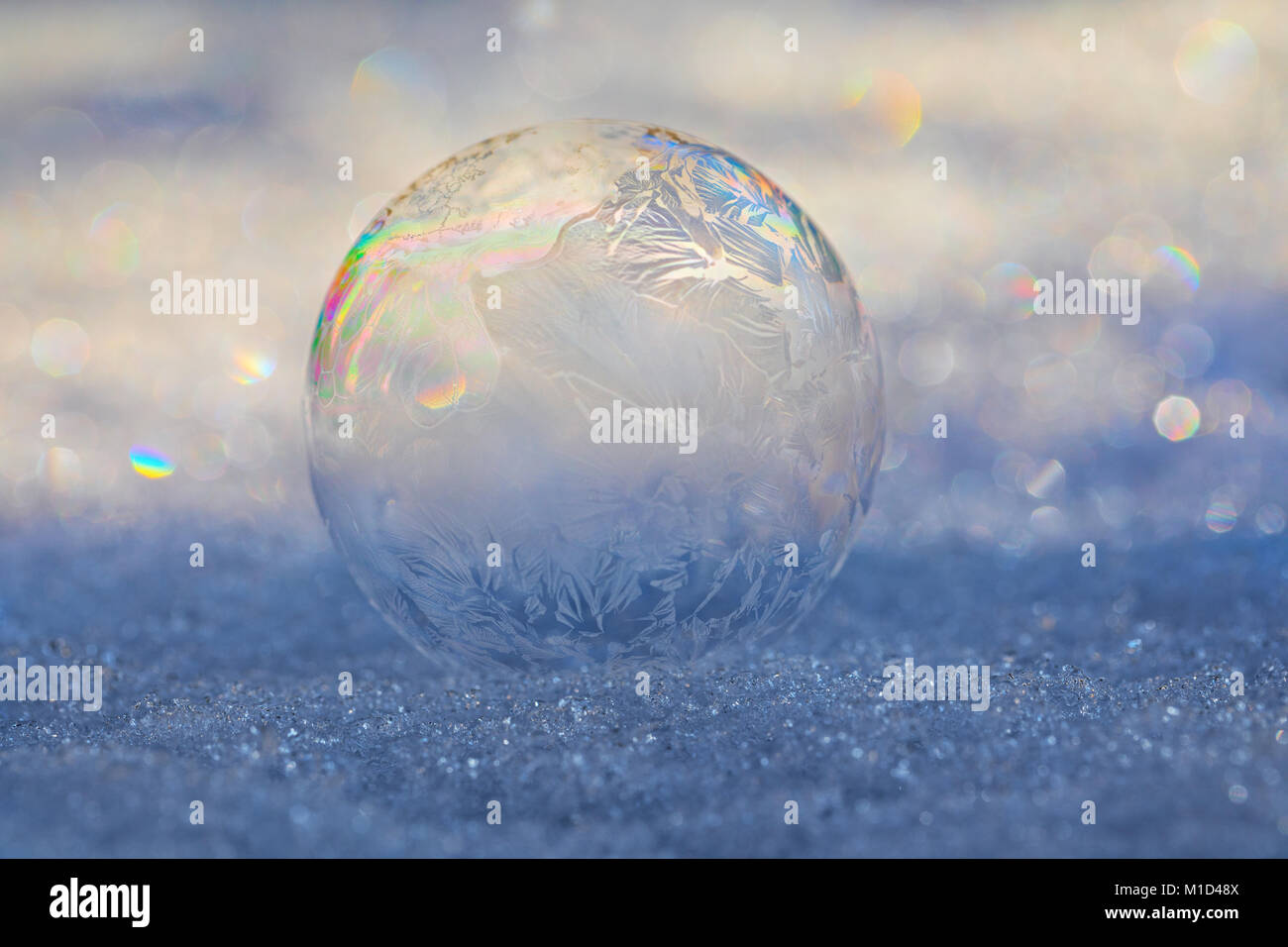 Frozen Bubble sulla neve con i cristalli di ghiaccio che si formano sulla bolla e rifrazione della luce creando un motivo a prisma Foto Stock