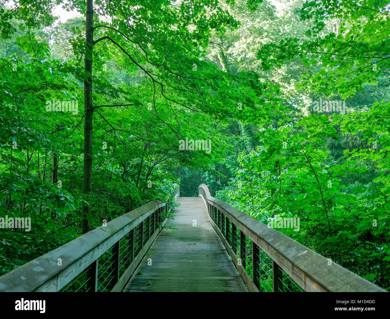 Il Footbridge oltre il Fiume Galien. Warren boschi del Parco Statale, Michigan. Foto Stock