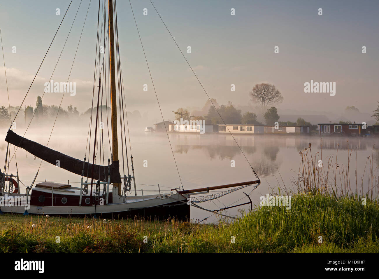 I Paesi Bassi, Weesp, Houseboats nel fiume chiamato Vecht nella nebbia di mattina a sunrise. Foto Stock