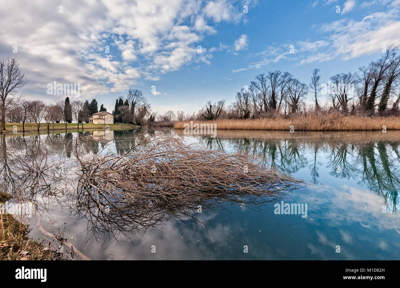Paesaggio rurale. Il lago con alberi reed e riflessione sull'acqua. Foto Stock