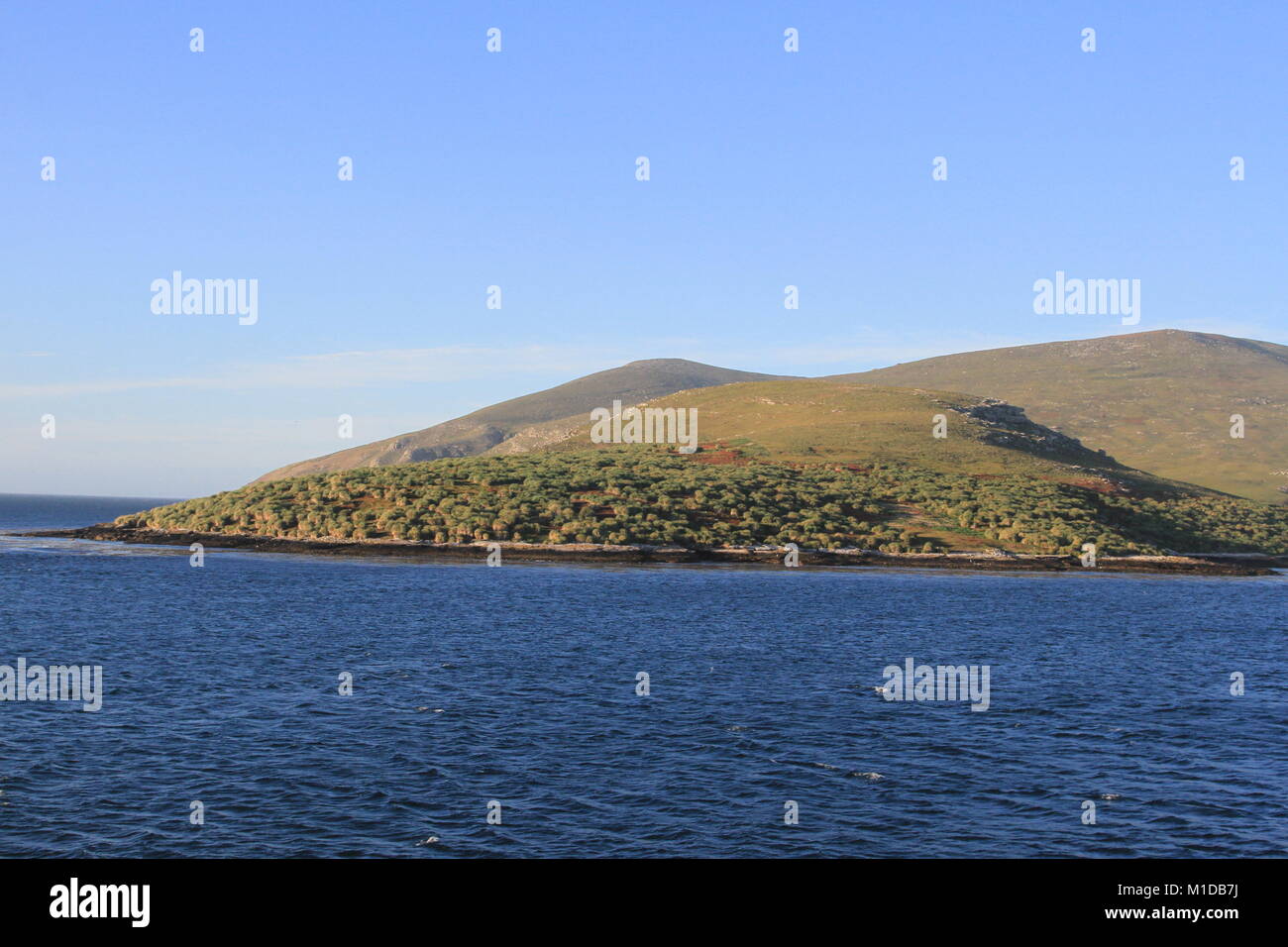 West Falkland Foto Stock
