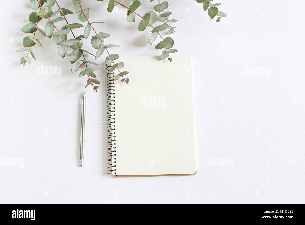 Elegante stock photo. Desktop femminile mockup scena con foglie verdi di  eucalipto, penna a sfera e notebook bianco isolato su sfondo bianco. Spazio  vuoto. Vista dall'alto. Foto per il blog Foto stock 