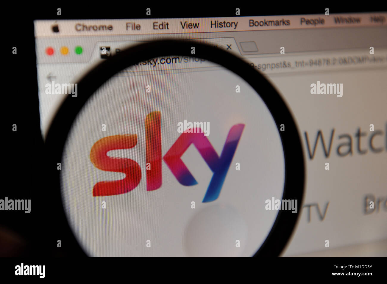 Sito Web di Sky Foto Stock
