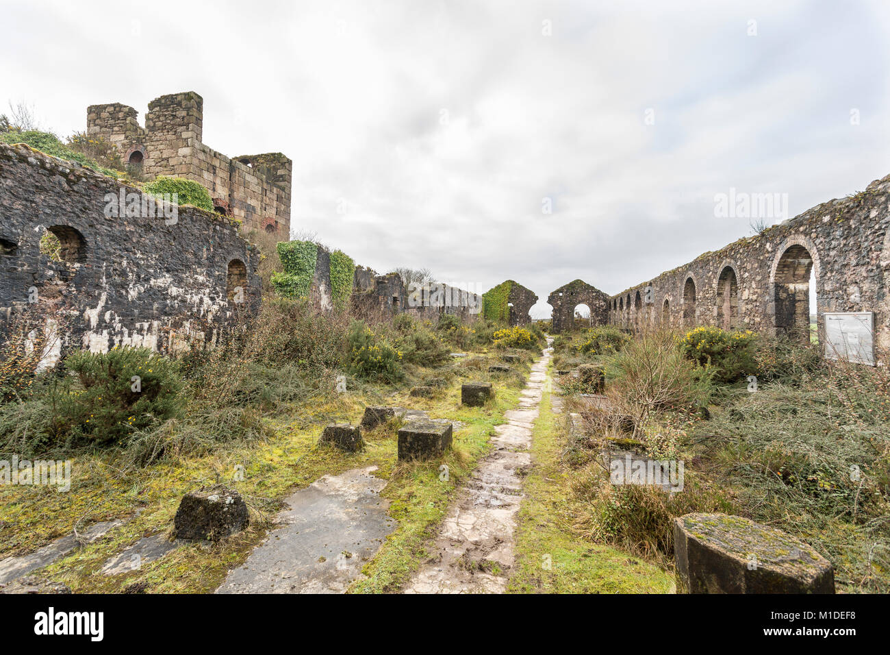 Il Basset miniere, trattamento di minerali capannone che una volta ospitava il Cornish francobolli per la frantumazione e la separazione del minerale di stagno. Foto Stock