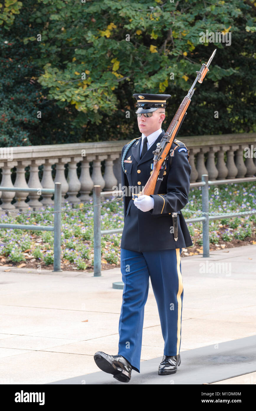 Soldato di guardia presso la tomba del Milite Ignoto al Cimitero Nazionale di Arlington, alla periferia di Washington DC, capitale degli STATI UNITI D'AMERICA Foto Stock