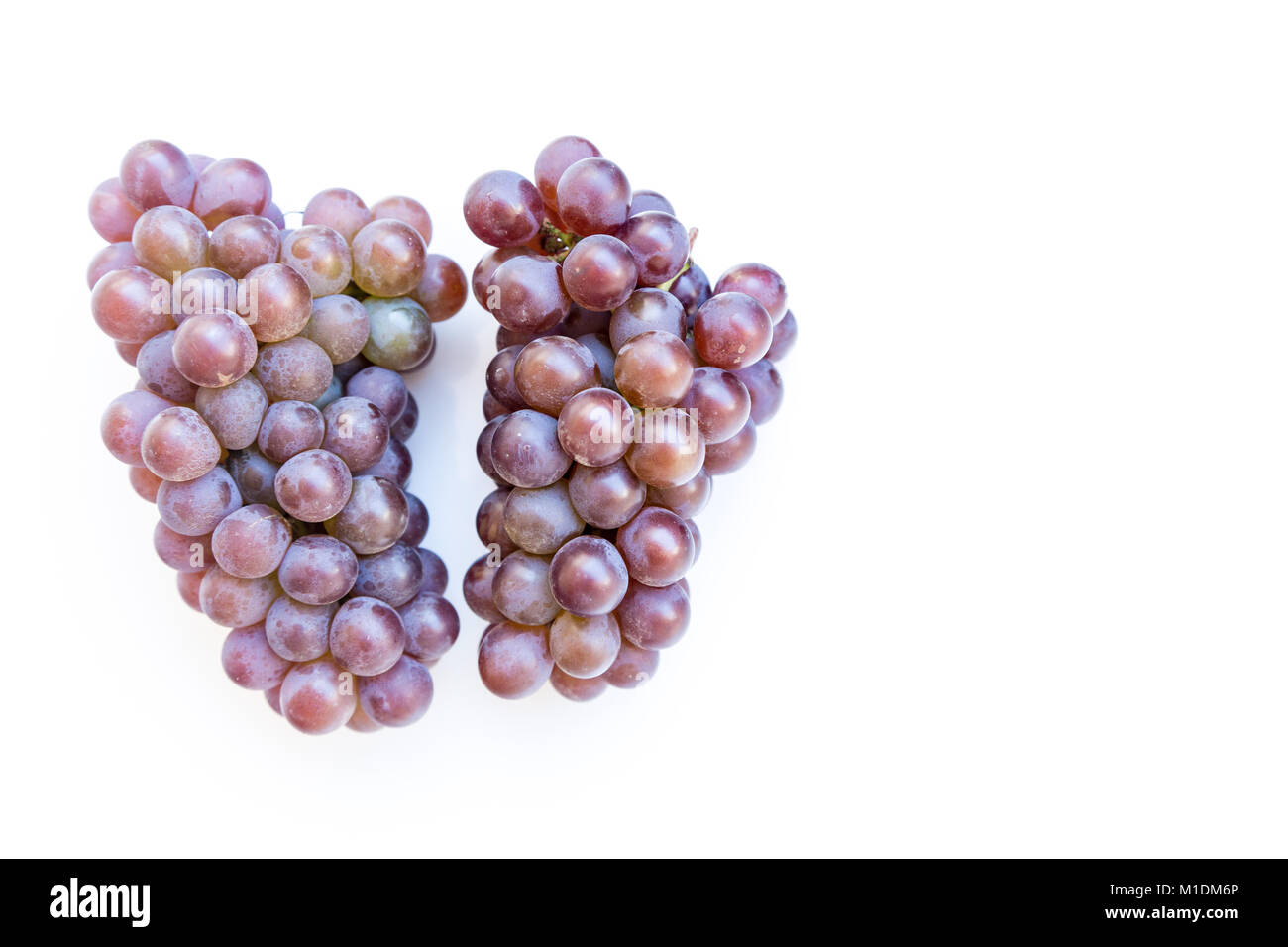 Due grappoli maturi delle uve rosse isolato su sfondo bianco, laici piatta Foto Stock