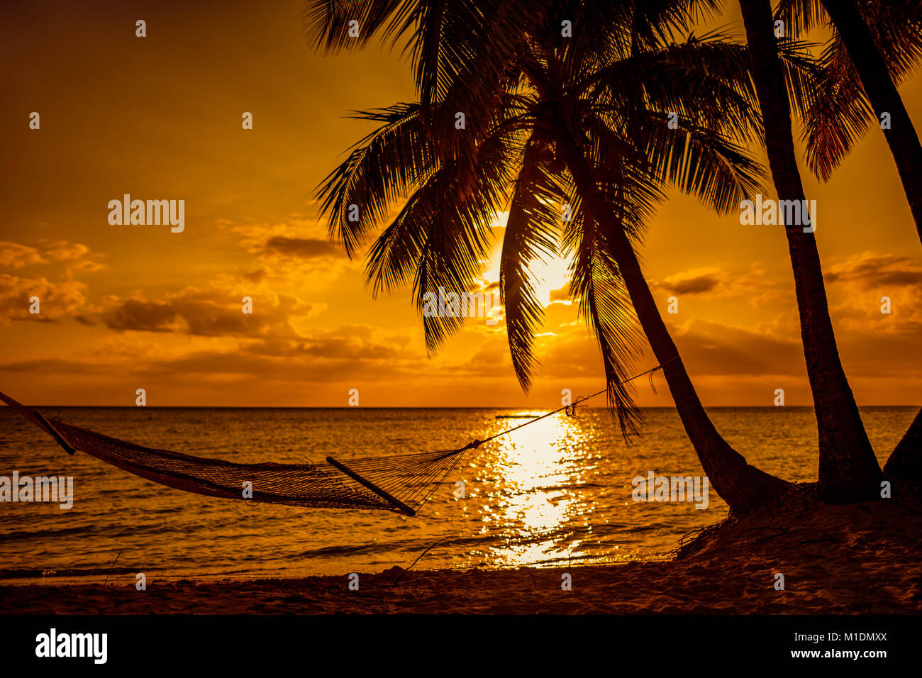 Silhouette Di Amaca E Palme Su Una Spiaggia Tropicale Al