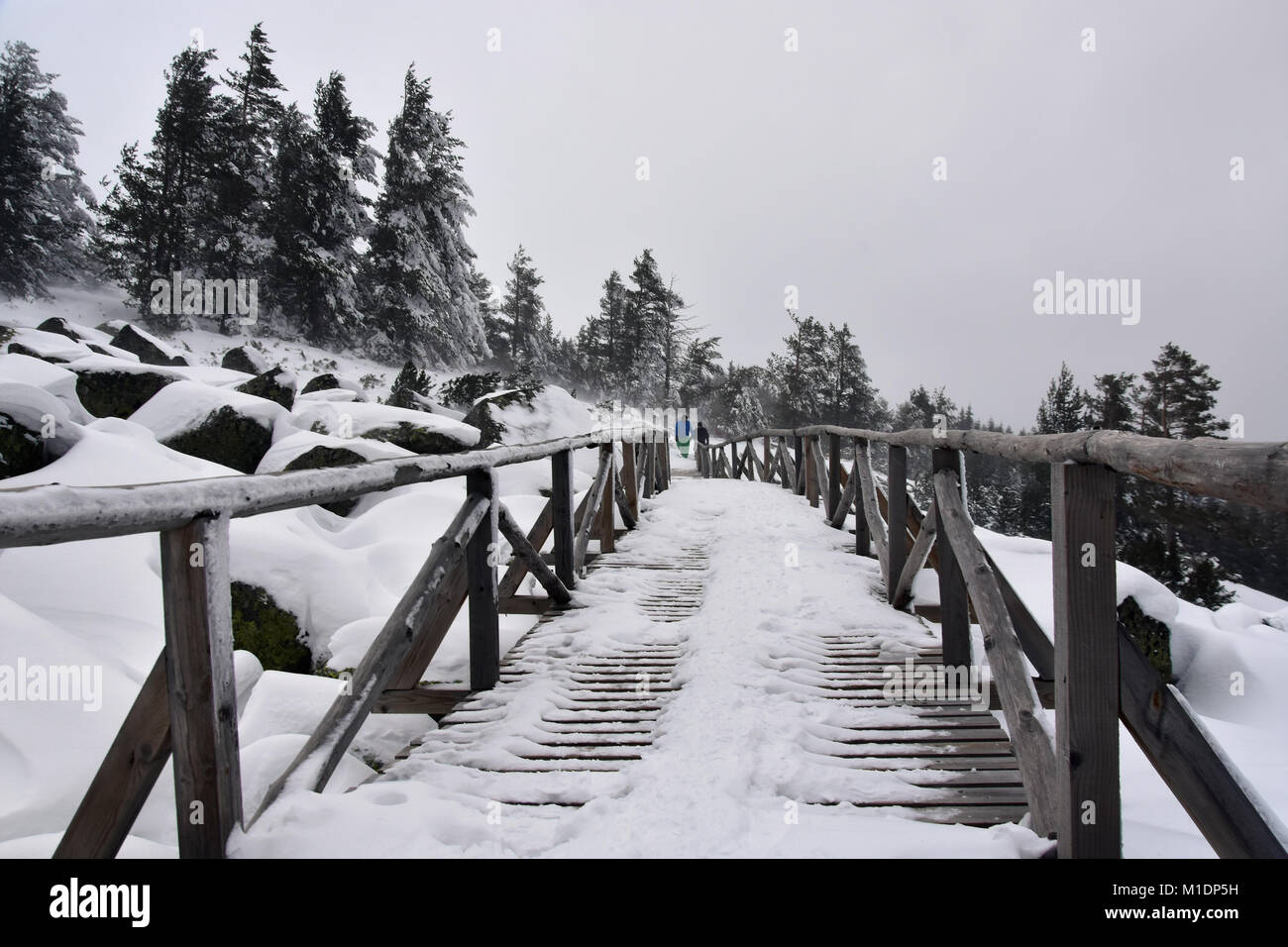 Passerella in legno nella neve montagna Vitosha, Bulgaria Foto Stock