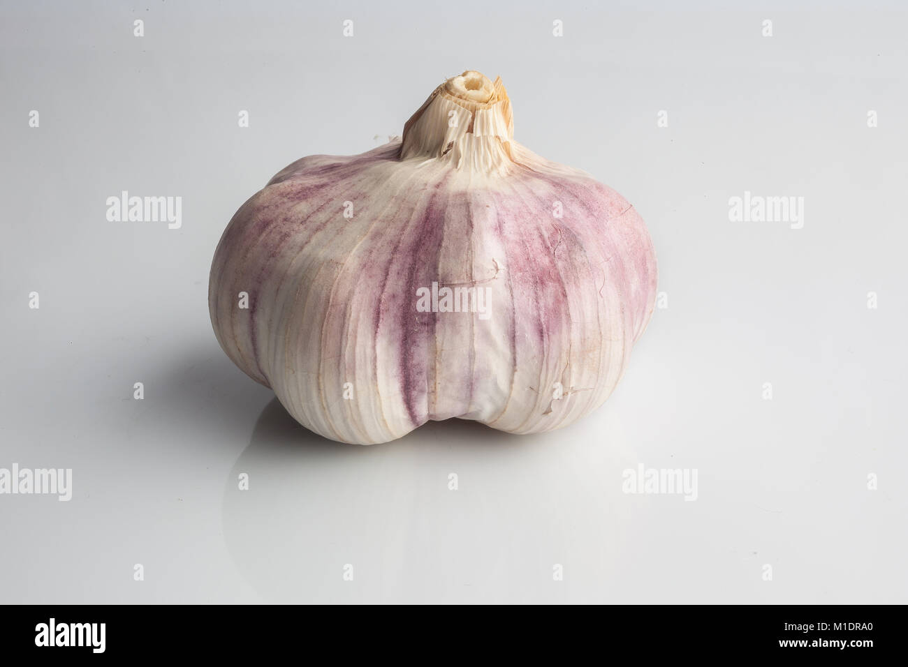 Aglio intero su sfondo bianco con la riflessione Foto Stock