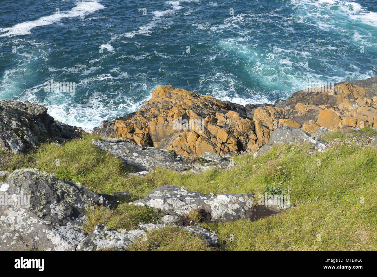 Rocce di granito sul bordo di scogliera, Cornish litorale vicino San Levan, Cornwall, Inghilterra, Regno Unito. Foto Stock