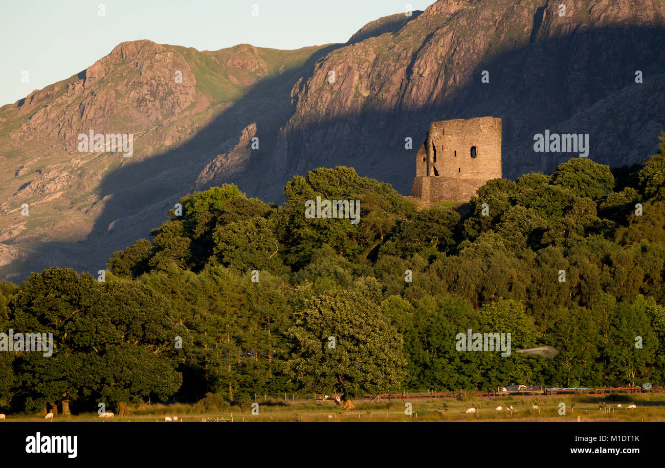 Castello di dolbadarn nel galles immagini e fotografie stock ad alta