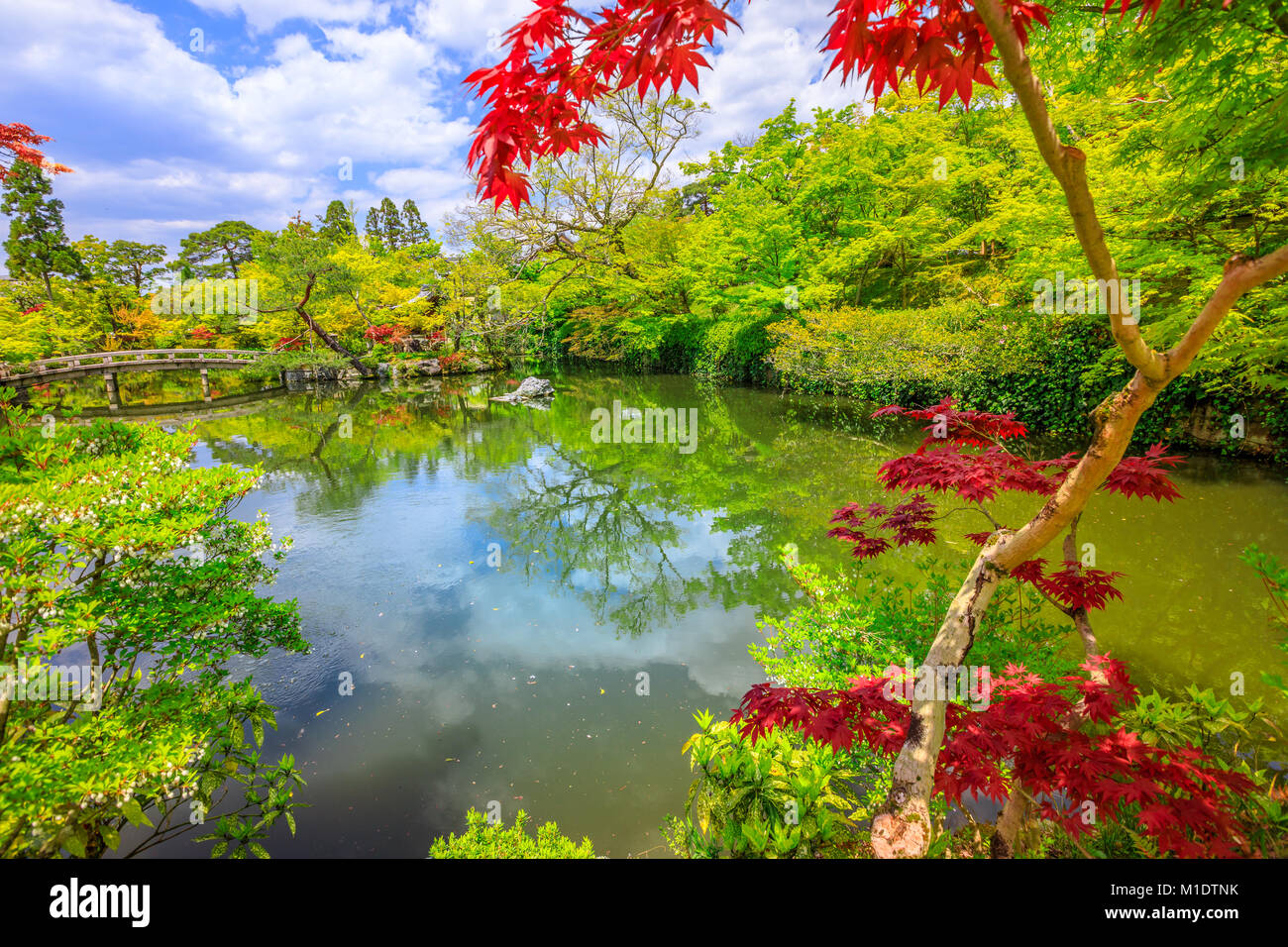 Zenrin-ji Kyoto Foto Stock