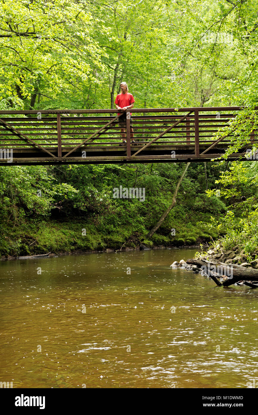 NC01705-00...North Carolina - escursionista sul ponte sul Po' Insenatura di pesca alla base del Vertice Loop Trail nel Medoc Mountain State Park. Foto Stock