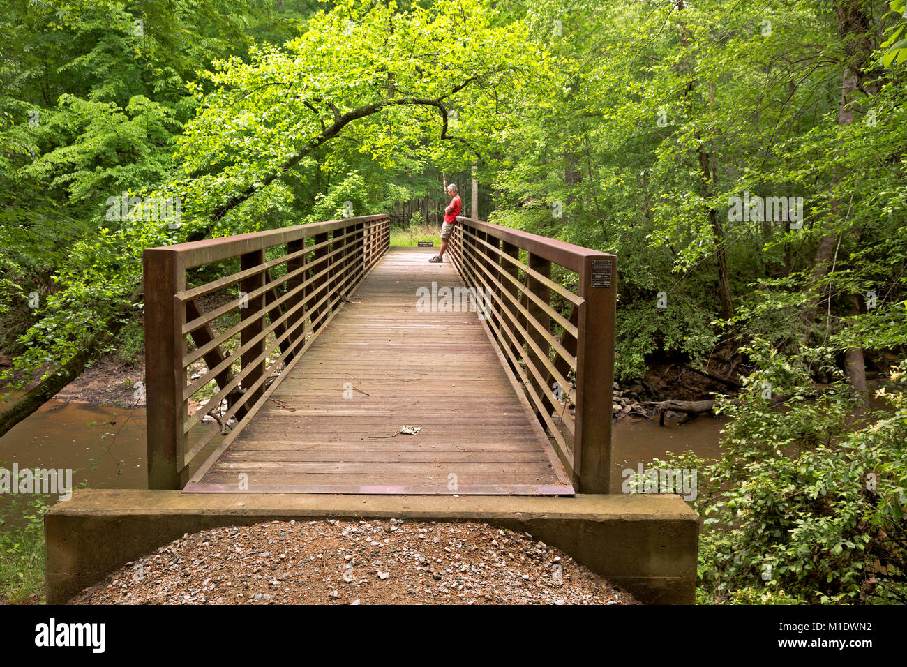 NC01706-00...North Carolina - escursionista in attesa sul ponte sul Po' Insenatura di pesca alla base del Vertice Loop Trail nel Medoc Mountain State Park. Foto Stock
