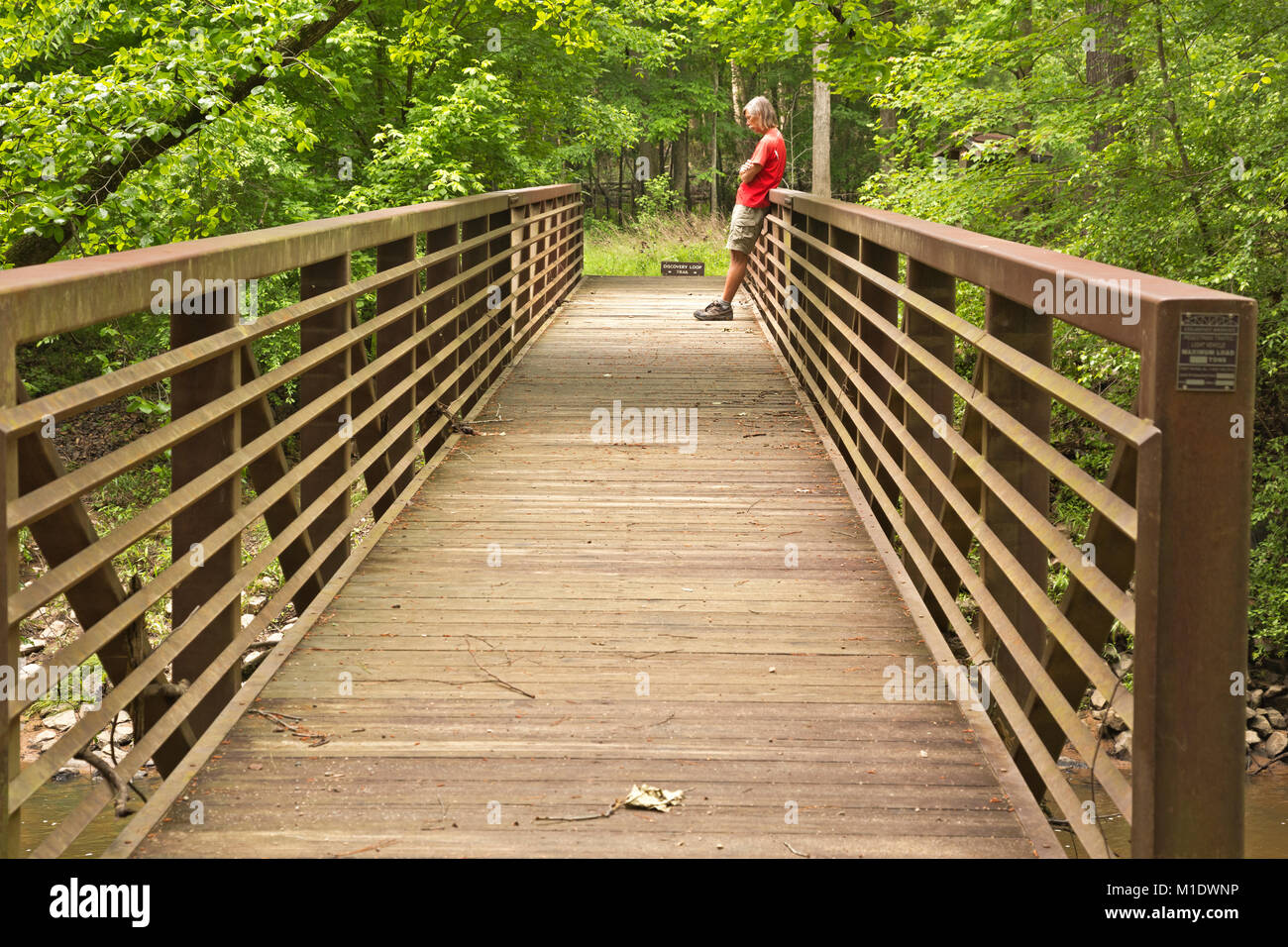 NC01707-00...North Carolina - escursionista in attesa sul ponte sul Po' Insenatura di pesca alla base del Vertice Loop Trail nel Medoc Mountain State Park. Foto Stock