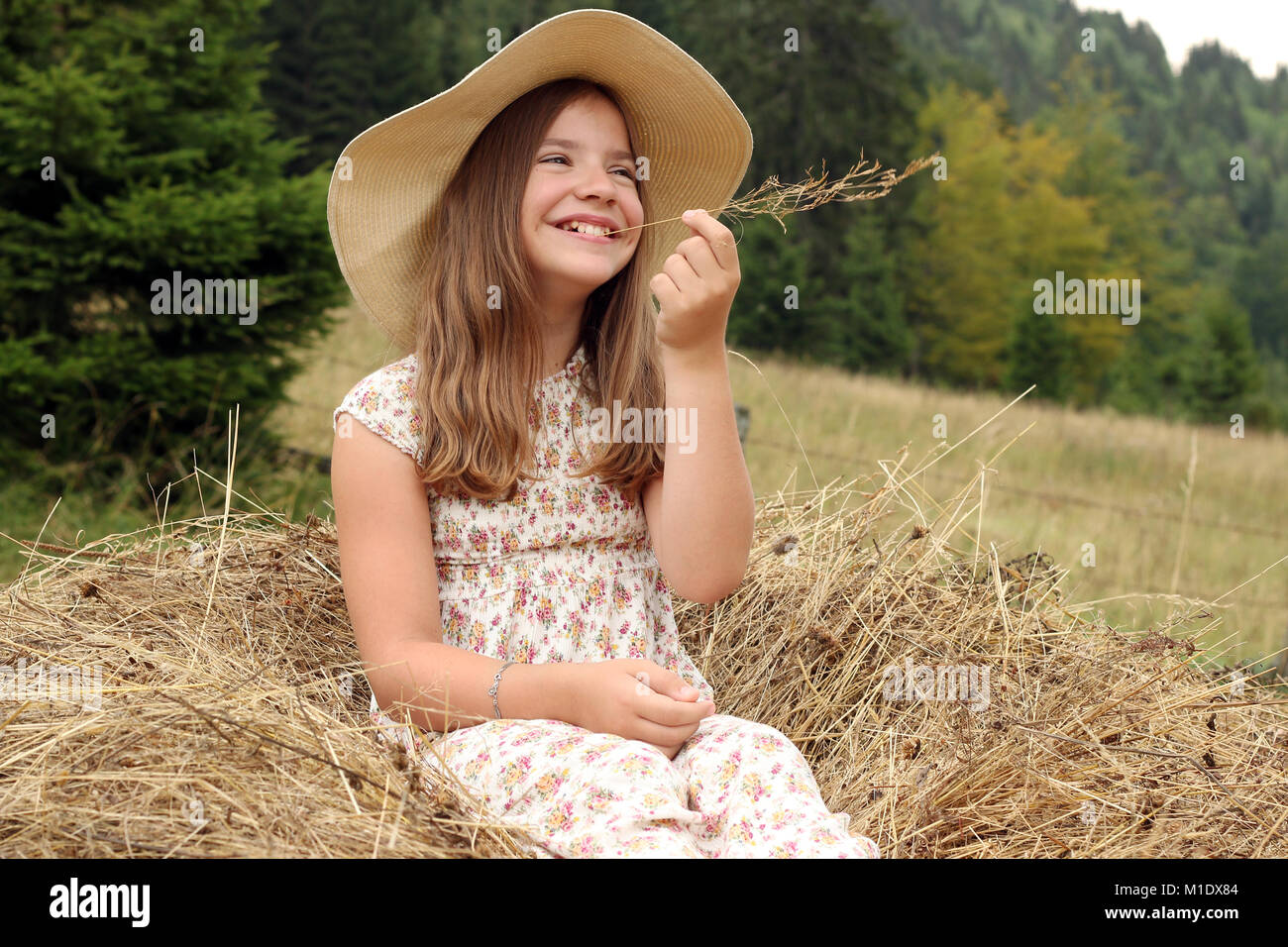 Bella felice bambina sul ritratto di campo Foto Stock