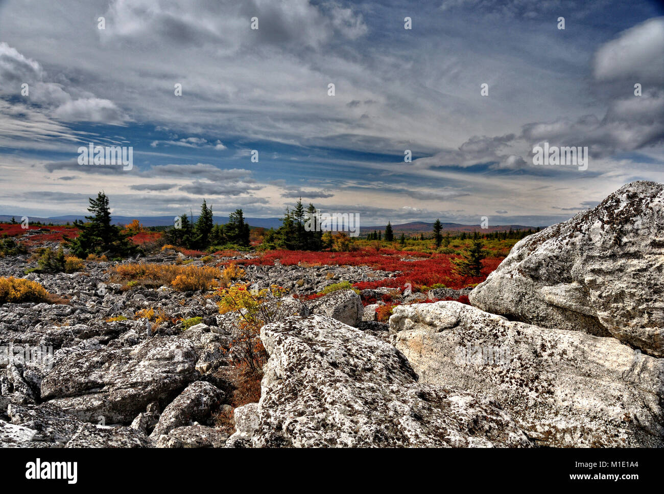 Dolly zolle brughiere in rosso brillante colore di autunno West Virginia Foto Stock