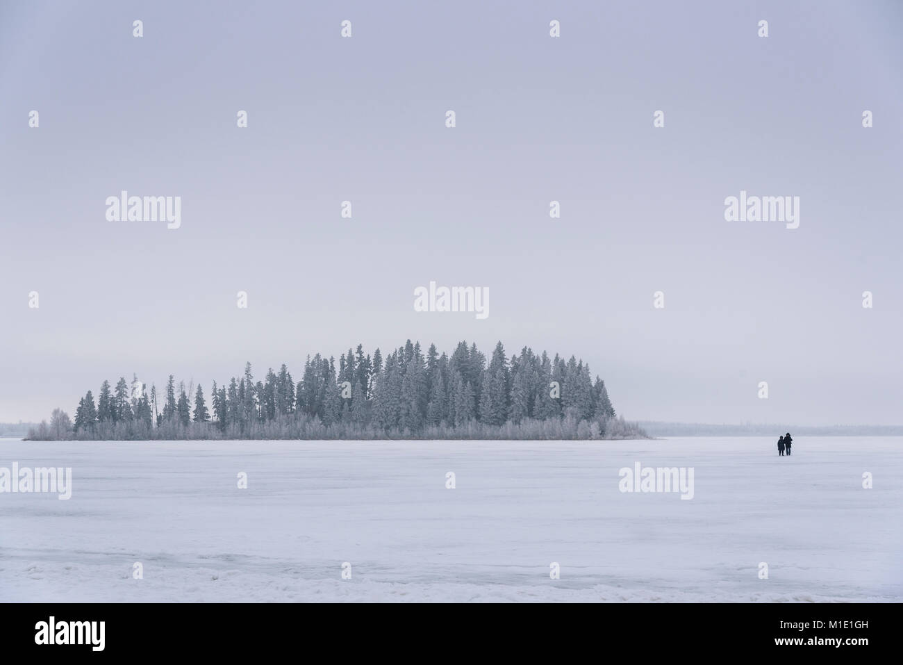Giovane camminando sul lago Astotin, congelati paesaggio invernale, Elk Island National Park, Alberta, Canada Foto Stock