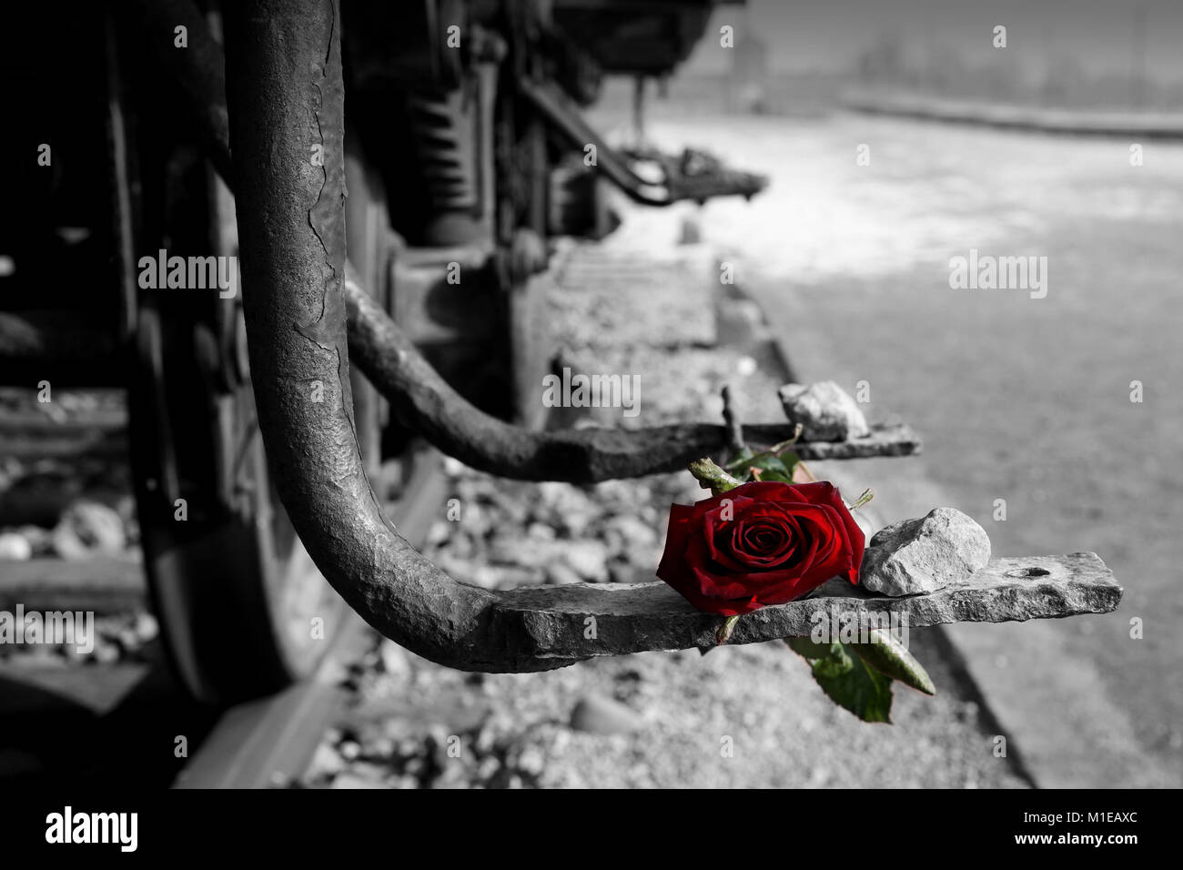Immagine in bianco e nero del carrello ferroviario con Rose [in spot color rosso] sul piede arrugginito-piastra con sfocato Auschwitz II - Birkenau cancello di ingresso. Foto Stock