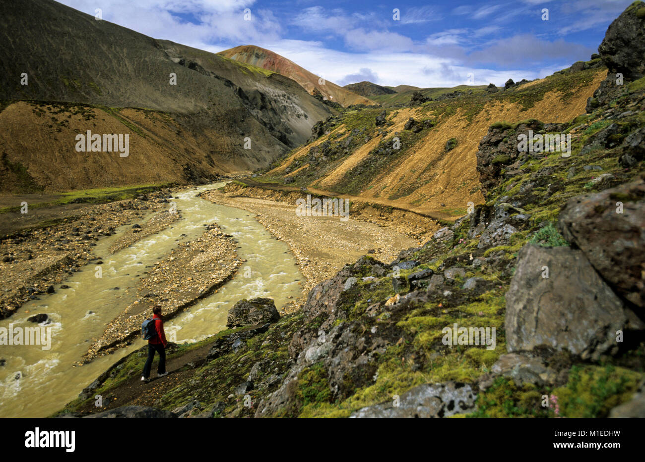 L'Islanda. Landmannalaugar Parco Nazionale. Escursionista, donna a piedi dal flusso. Foto Stock