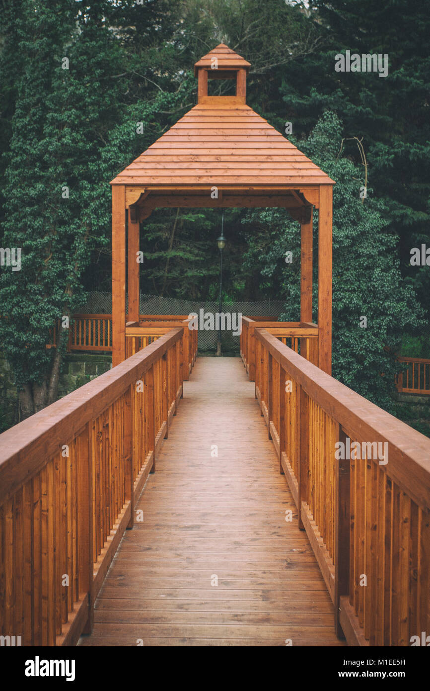 Ponte di legno Foto Stock