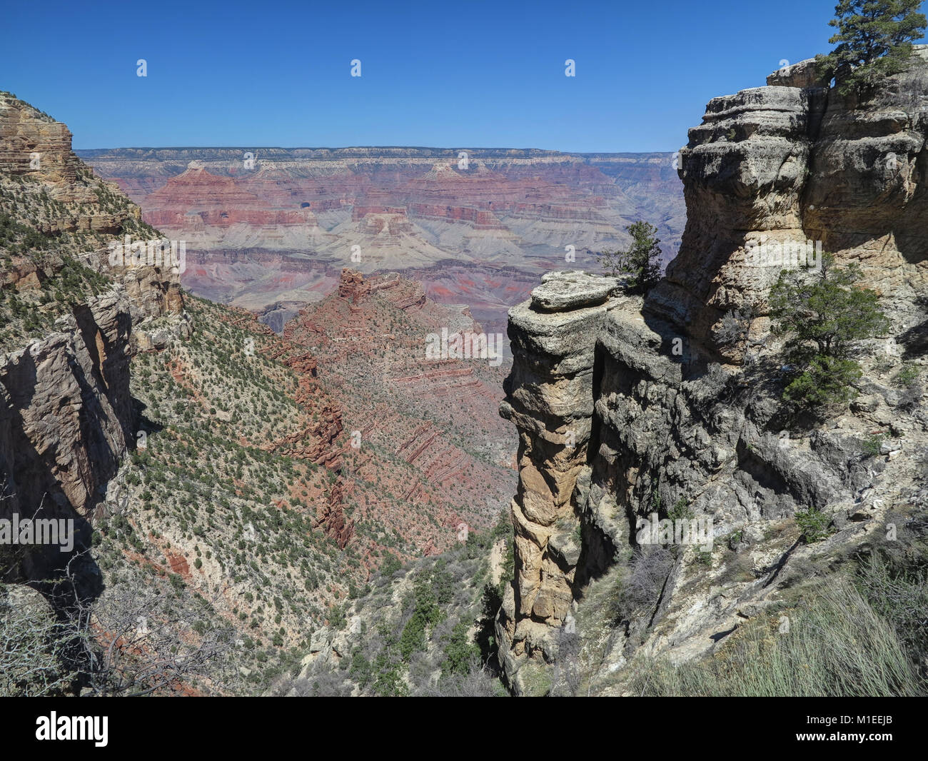 Bordo Sud del Grand Canyon vista in luminoso punto ad angolo Foto Stock