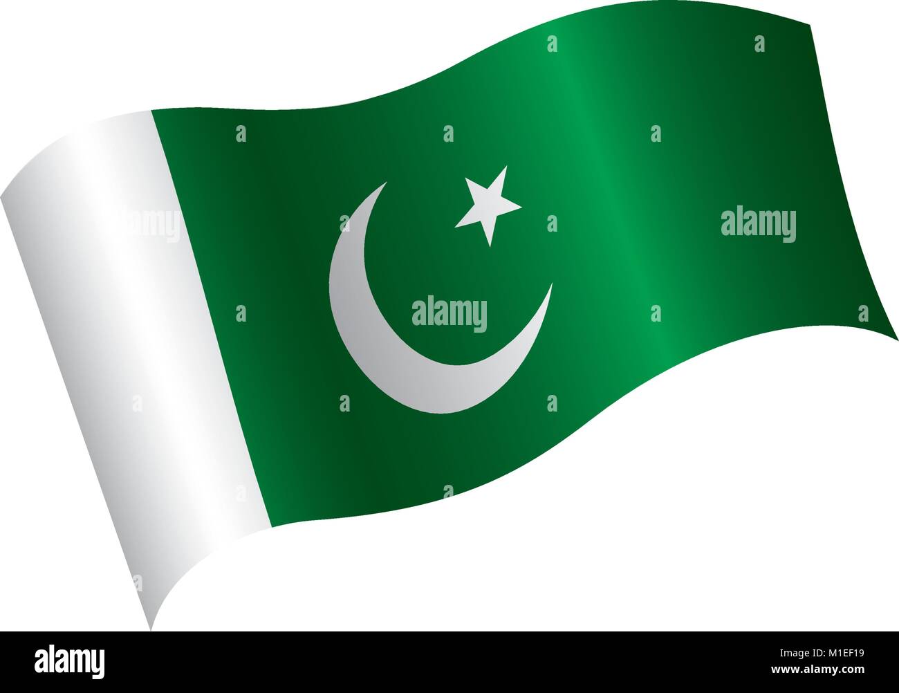 Il Pakistan bandiera, illustrazione vettoriale Illustrazione Vettoriale