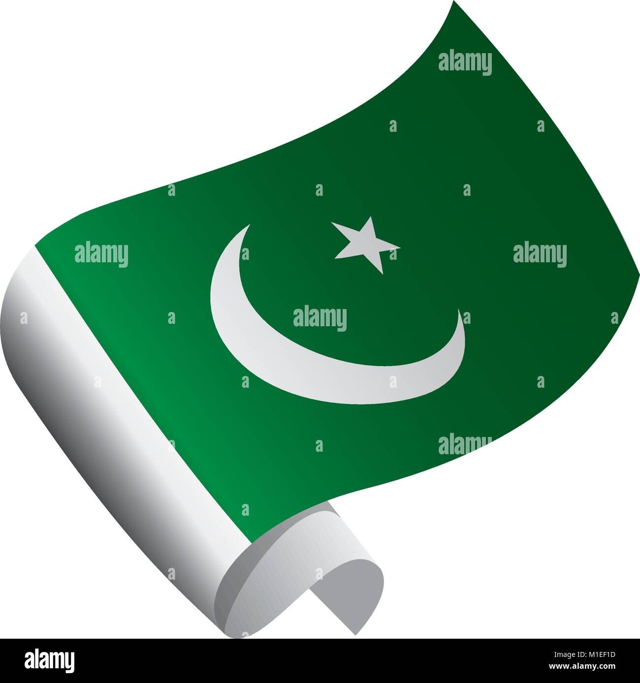 Il Pakistan bandiera, illustrazione vettoriale Illustrazione Vettoriale