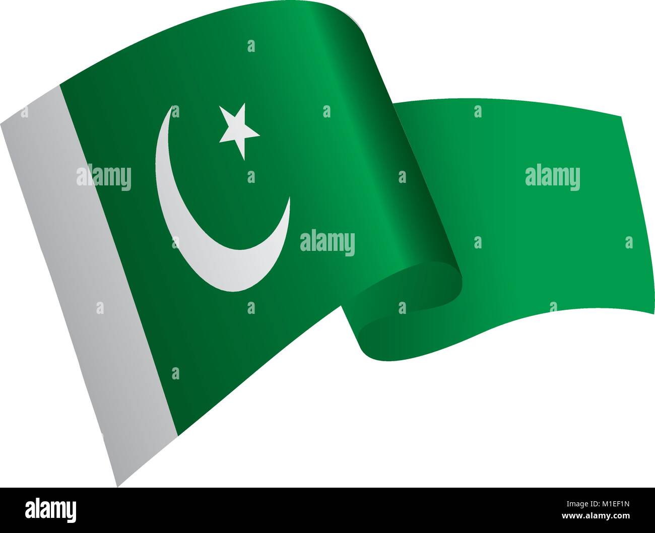 Il Pakistan bandiera, illustrazione vettoriale Illustrazione Vettoriale