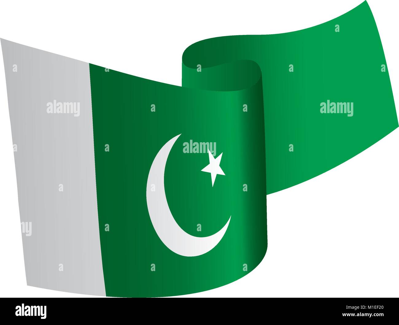 Il Pakistan bandiera, illustrazione vettoriale Illustrazione Vettoriale