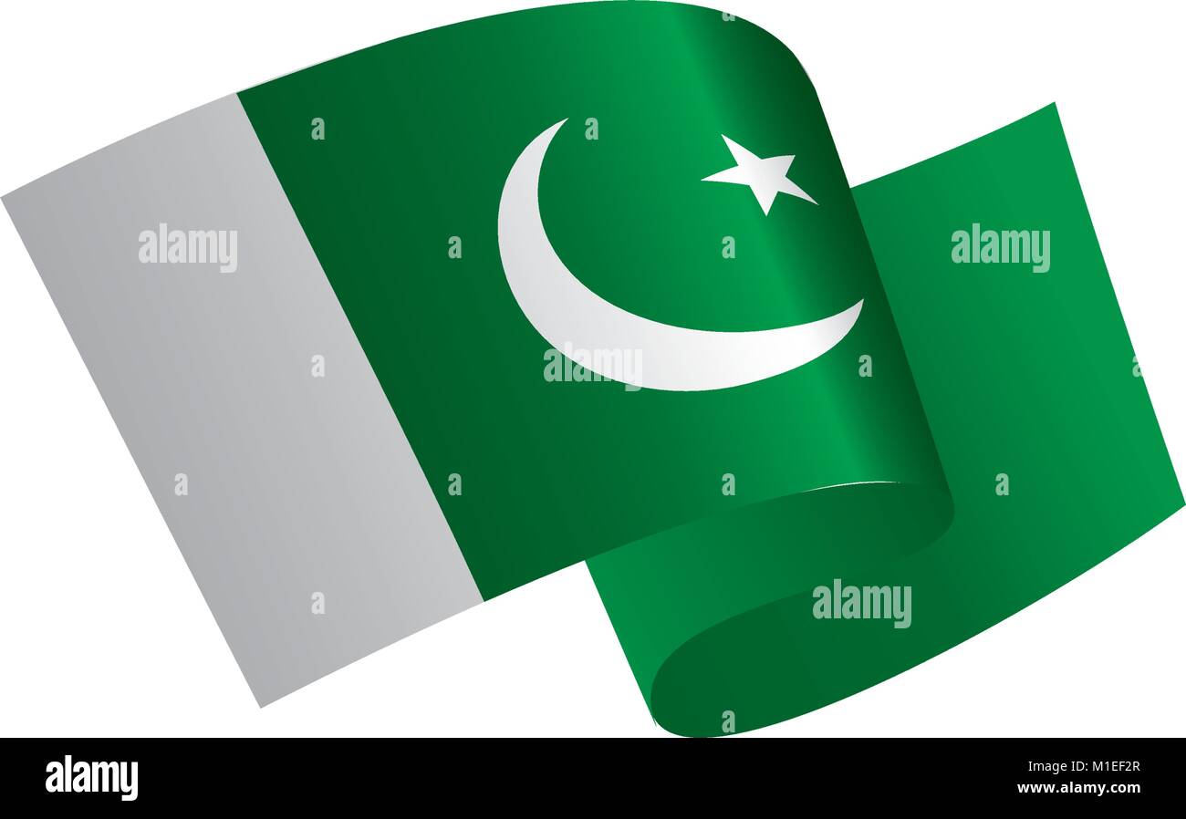 Il Pakistan bandiera, illustrazione vettoriale Illustrazione Vettoriale