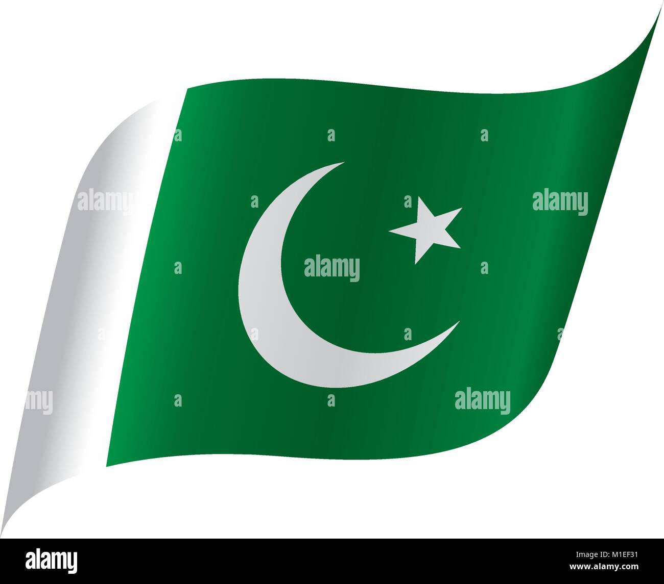 Il Pakistan bandiera, illustrazione vettoriale Illustrazione Vettoriale