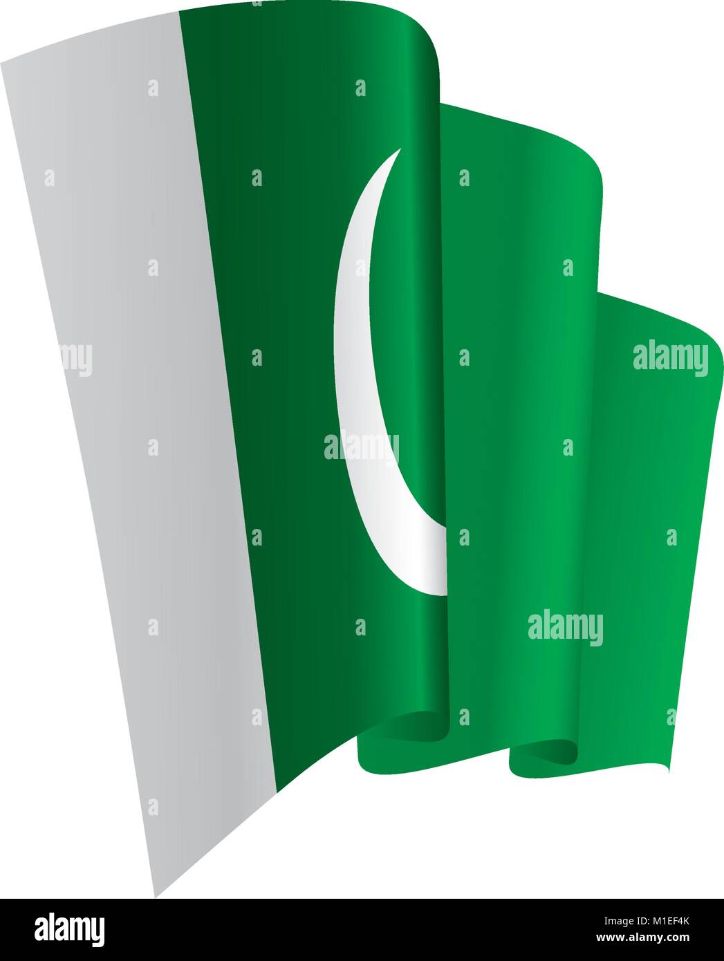 Il Pakistan bandiera, illustrazione vettoriale Illustrazione Vettoriale