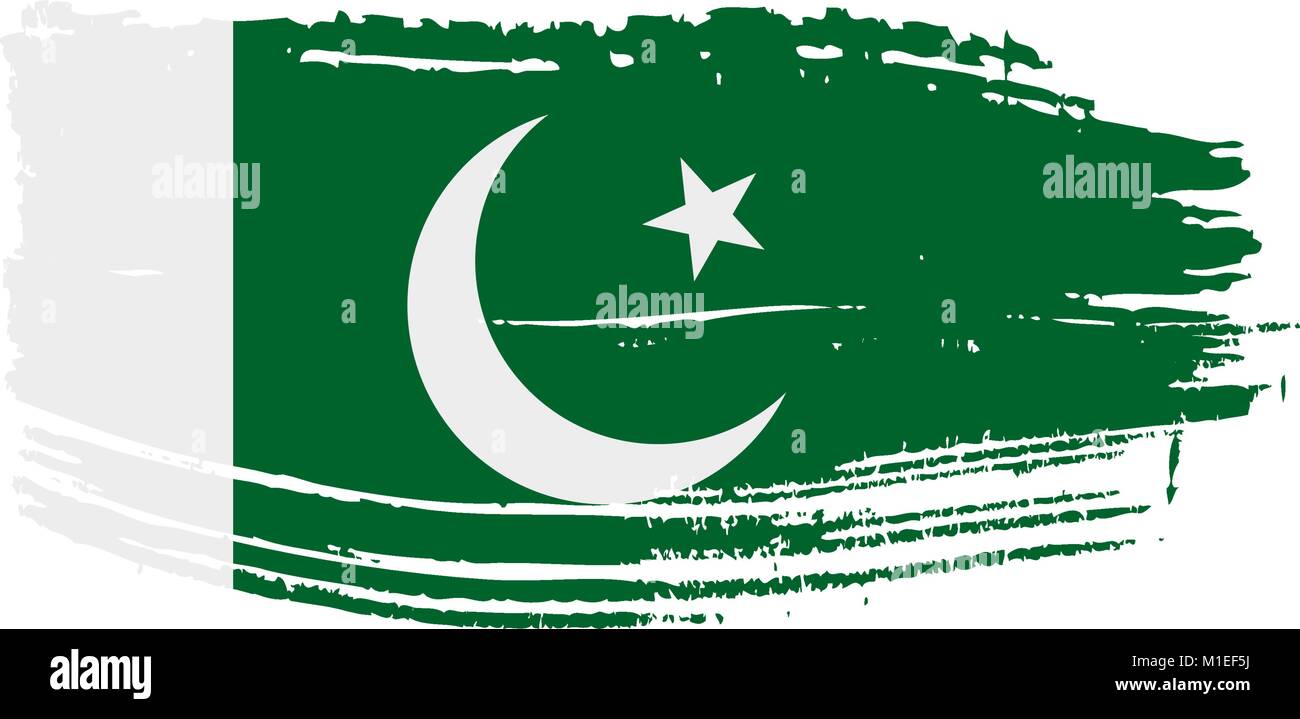 Il Pakistan bandiera, illustrazione vettoriale Illustrazione Vettoriale