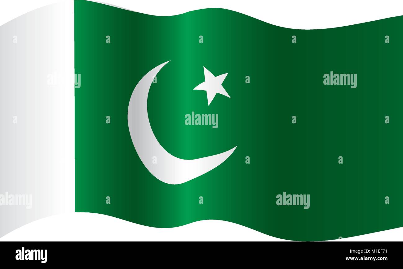 Il Pakistan bandiera, illustrazione vettoriale Illustrazione Vettoriale