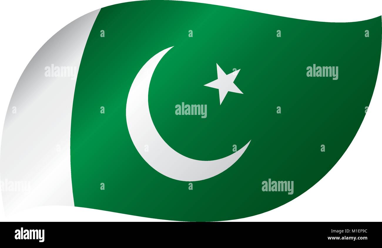 Il Pakistan bandiera, illustrazione vettoriale Illustrazione Vettoriale