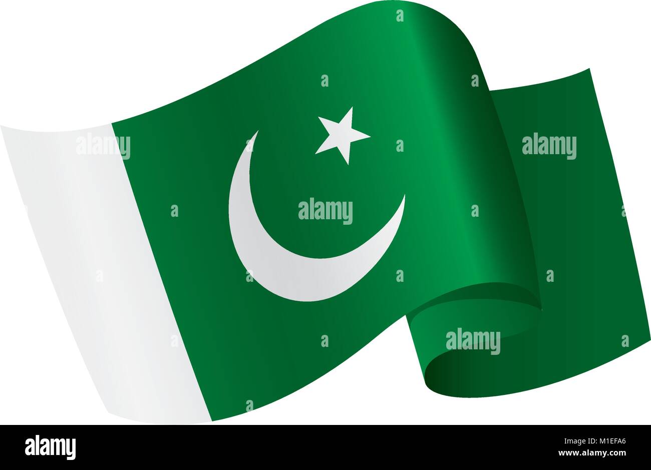 Il Pakistan bandiera, illustrazione vettoriale Illustrazione Vettoriale