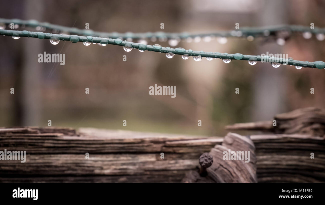 Il maltempo giorno. Gocce di pioggia su una linea di abbigliamento, riflettendo la proprietà. Foto Stock