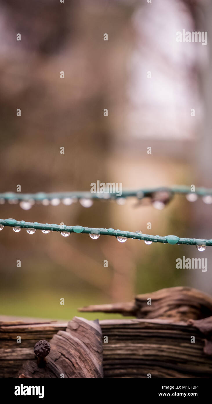 Il maltempo giorno. Gocce di pioggia su una linea di abbigliamento, riflettendo la proprietà. Foto Stock