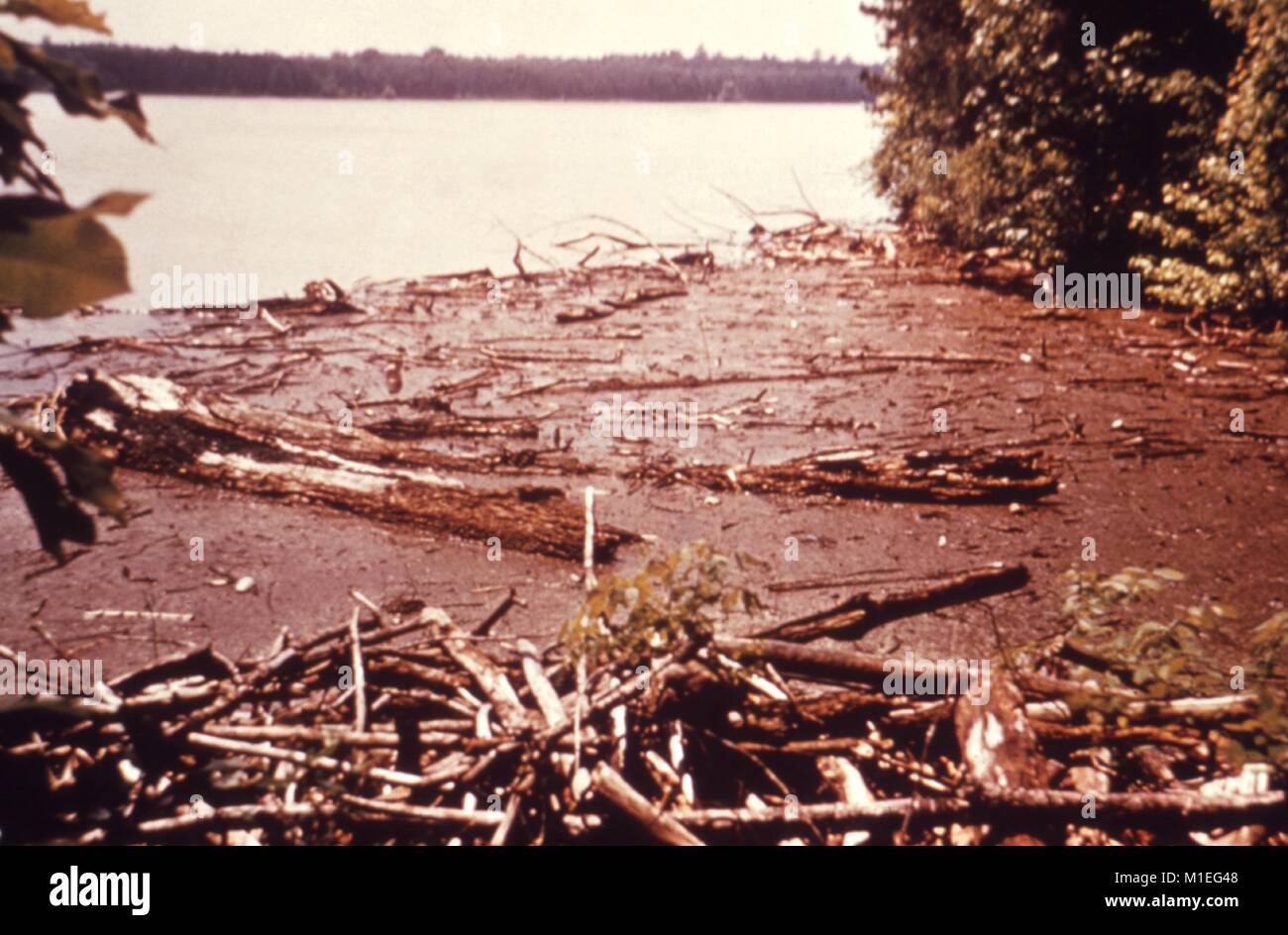 Fotografia paesaggio di tronchi e detriti sul bordo di un lago di serbatoio con costa boscosa visibile in background, preso come parte di un procedimento di indagine nel vettore di malattie, Stati Uniti, 1976, 1976. Immagine cortesia CDC. () Foto Stock
