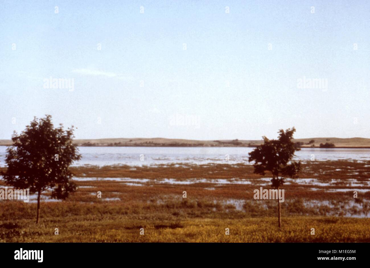 Fotografia paesaggio del bordo palustre di un lago incastonato in una piana, area erbosa con due alberi visibile in primo piano e lontane colline di sfondo, preso come parte di un procedimento di indagine nel vettore di malattie, Harlan County, Nebraska, 1976, 1976. Immagine cortesia CDC. () Foto Stock