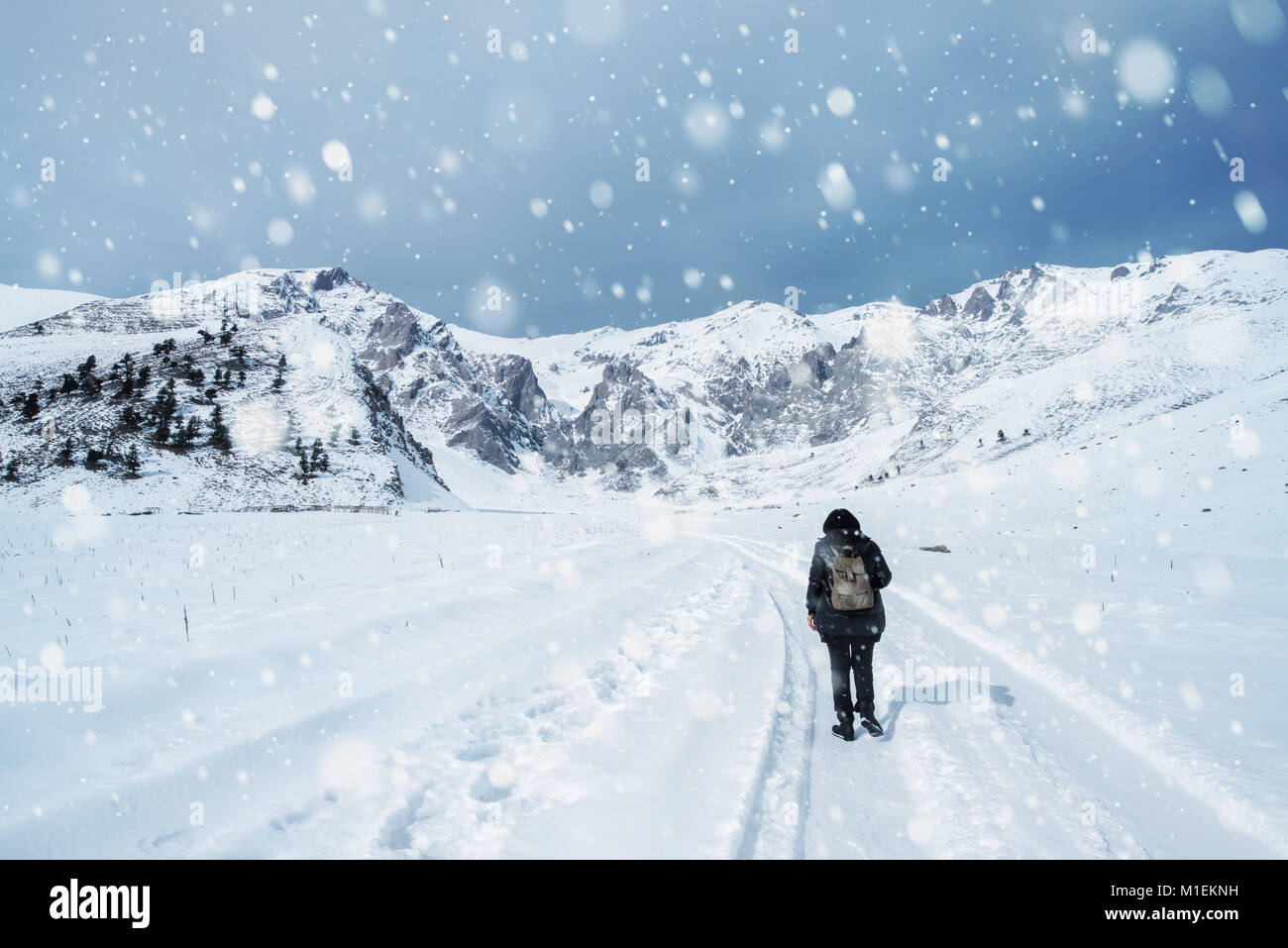 Persona a piedi verso il basso un nevoso inverno la strada attraverso il paese fiel in un paesaggio panoramico concettuale del le stagioni Foto Stock
