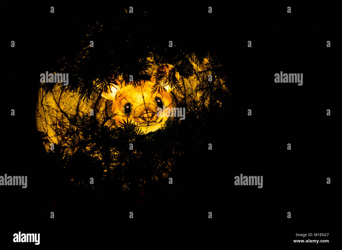 Harvest mouse lanterna Chester Zoo Regno Unito 2016 Foto Stock