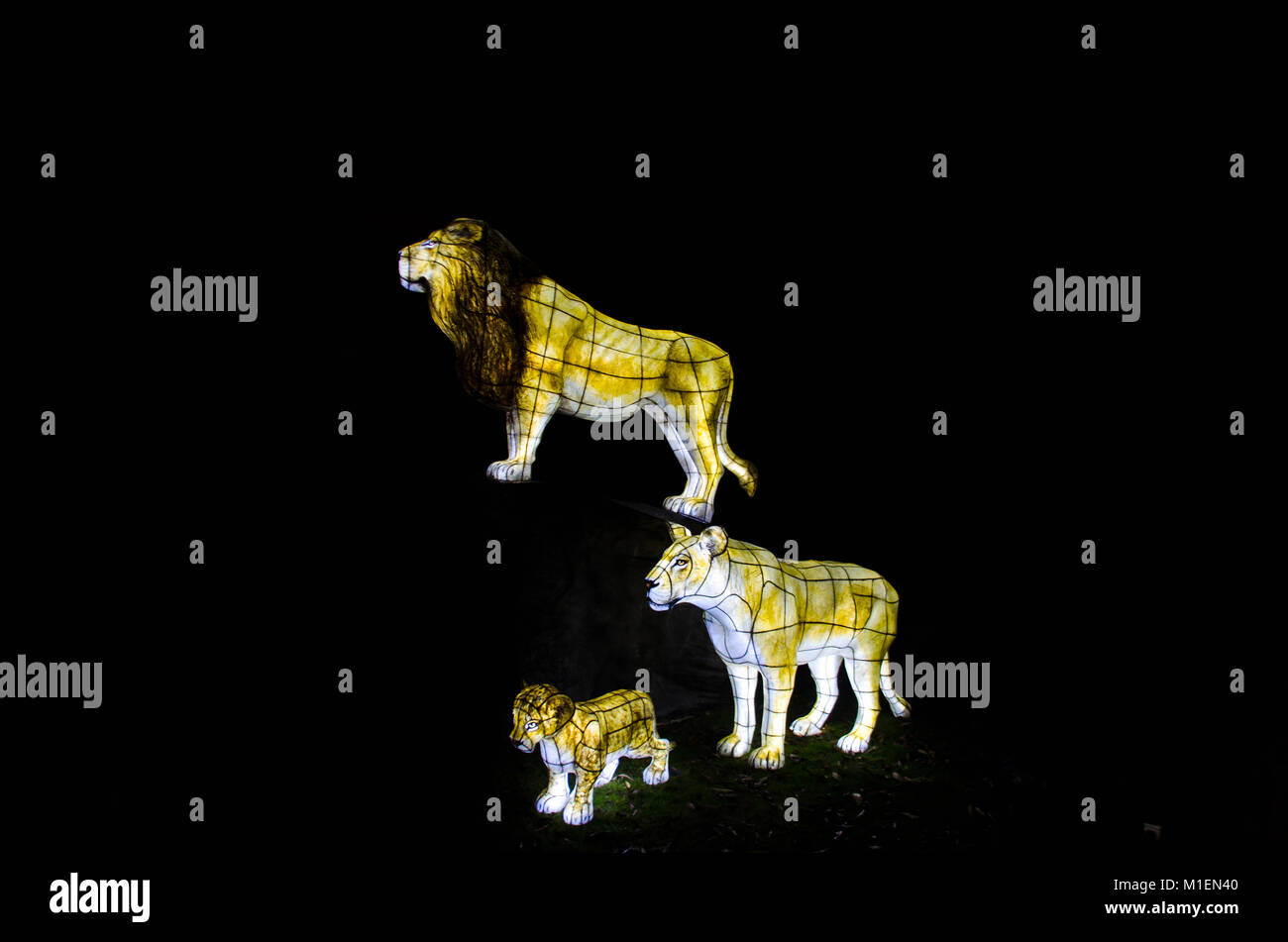 Dimensioni di vita Lion family lanterne Chester Zoo Regno Unito 2016 Foto Stock