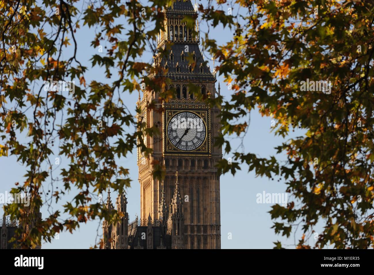 Il Big Ben, la casa del parlamento Foto Stock