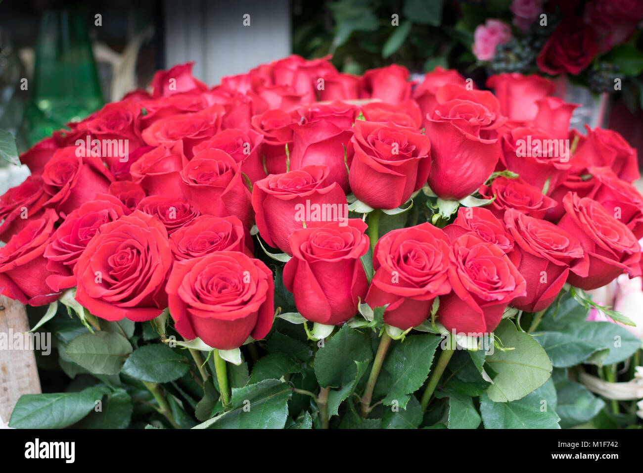 Bellissimi fiori pronto per San Valentino, mazzi delle colorate composizioni floreali. Foto Stock